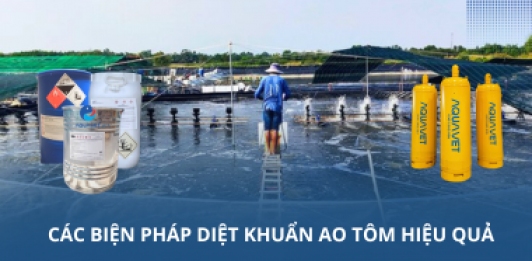 Các biện pháp diệt khuẩn ao tôm hiệu quả